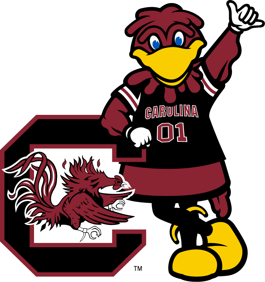 South Carolina Gamecocks 2014-2018 Mascot Logo DIY iron on transfer (heat transfer)